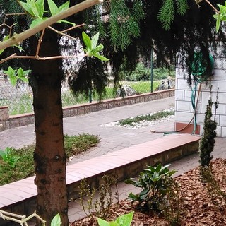odnowa nasadzeń w istniejącym ogrodzie w Bydgoszczy
